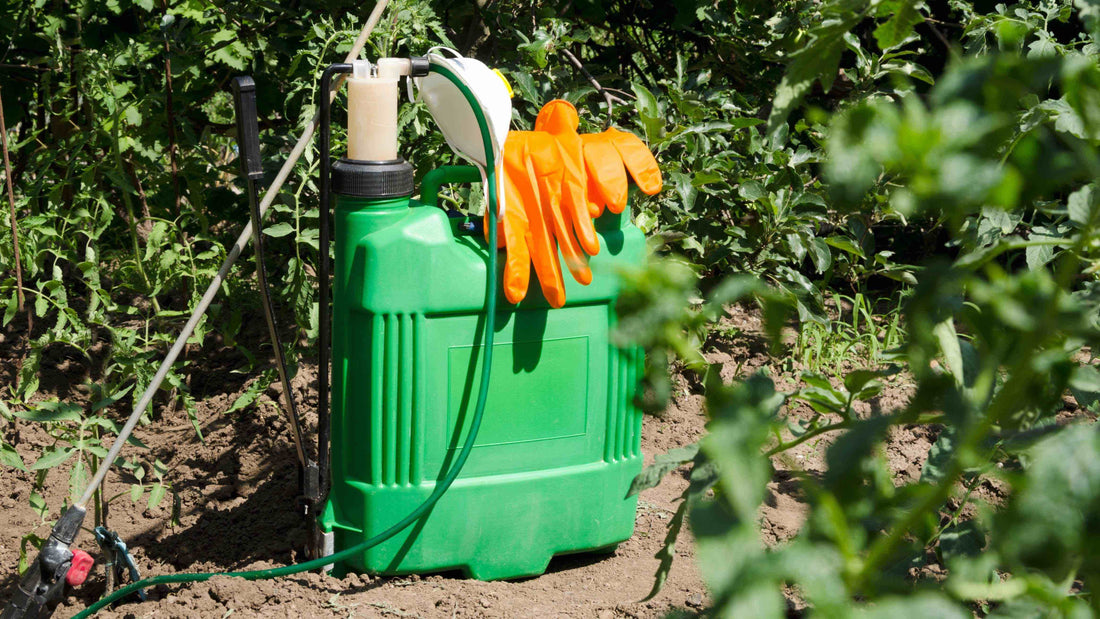 Les désherbants non sélectifs : une solution radicale contre les mauvaises herbes