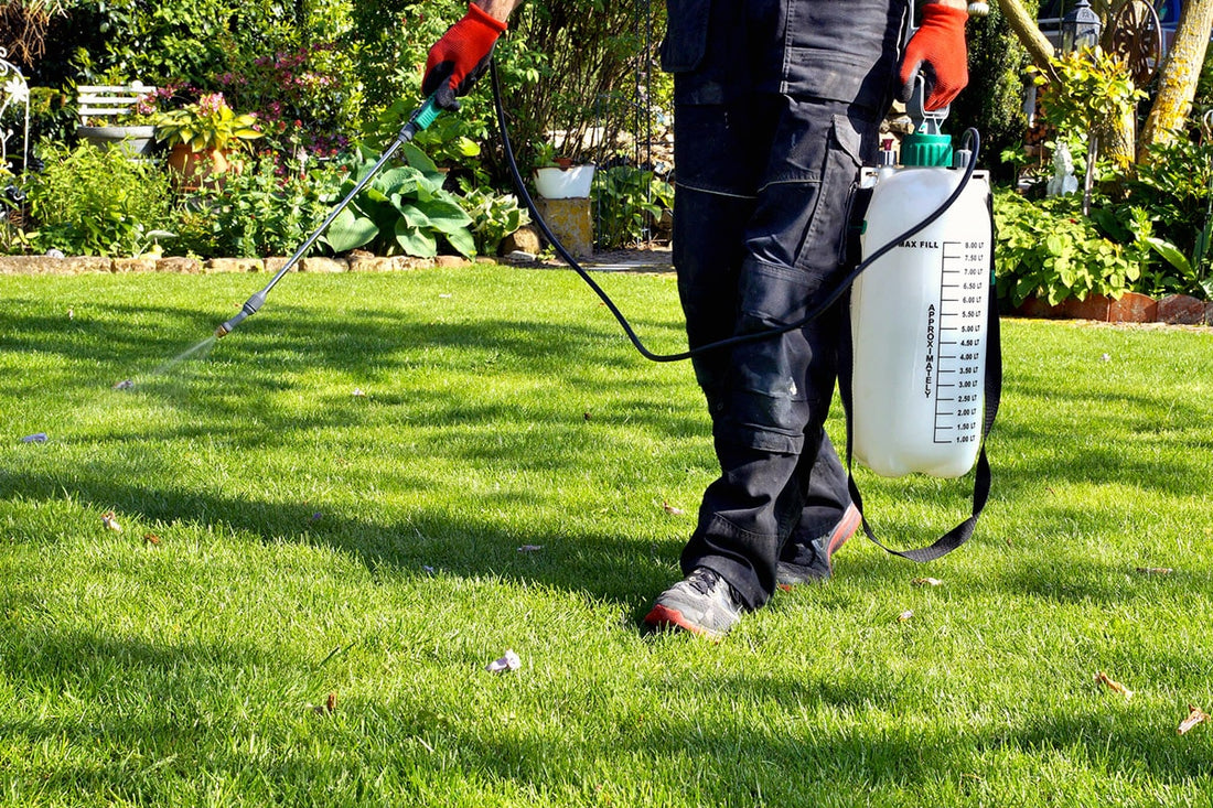 Les désherbants sélectifs : une solution efficace pour un jardin maîtrisé