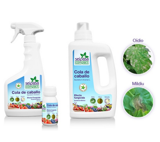 Cola de Caballo Concentrado – Fungicida 1 L